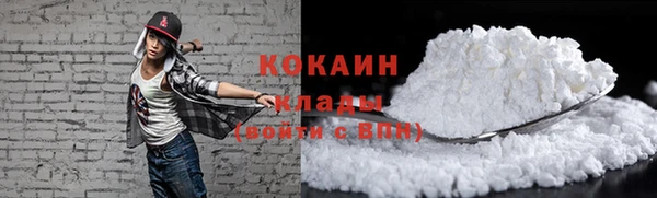 крисы Баксан