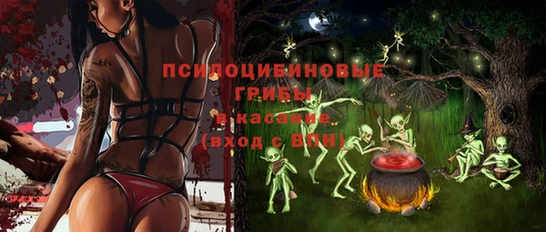 хмурый Балабаново