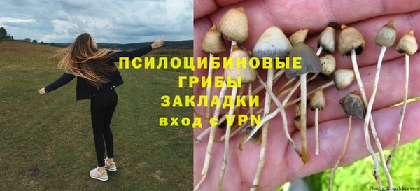 хмурый Балабаново