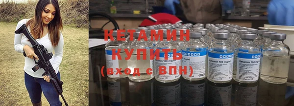крисы Баксан