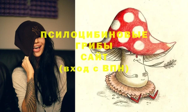 крисы Баксан