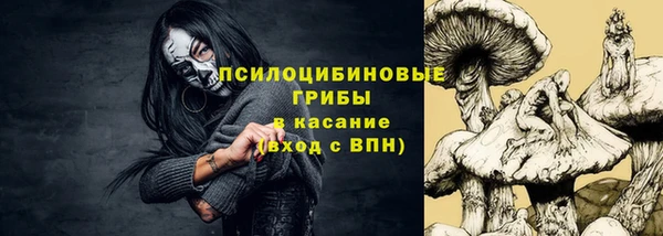 крисы Баксан