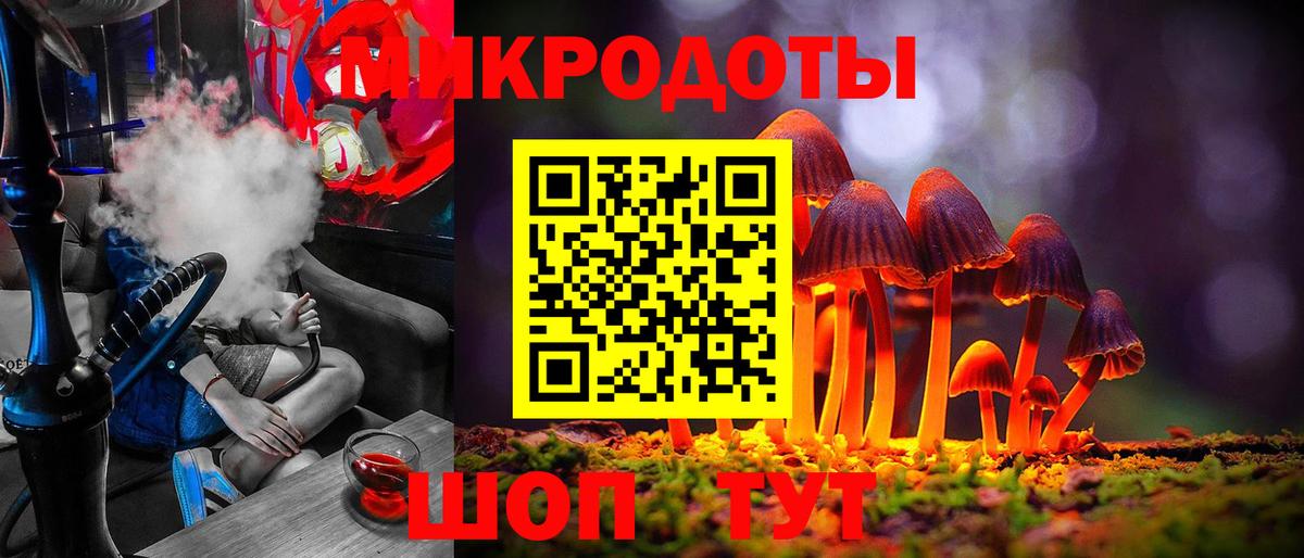 Галлюциногенные грибы Psilocybe  Вход с VPN  Верхняя Салда 