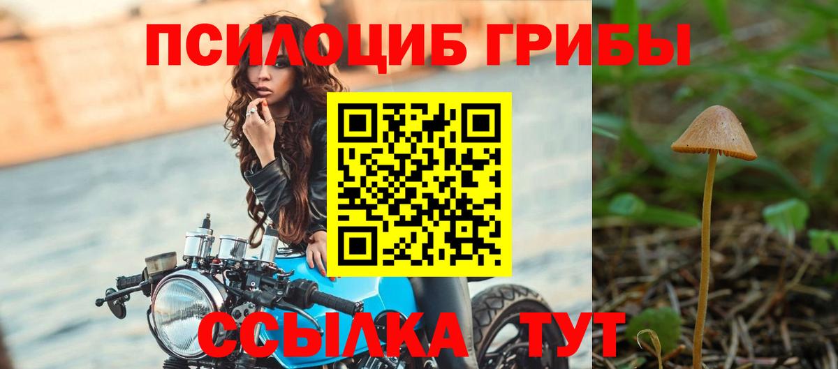 Галлюциногенные грибы мицелий Верхняя Салда