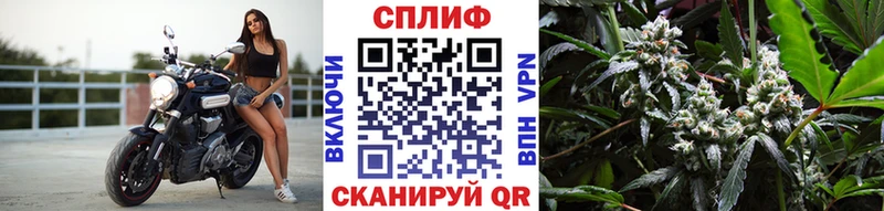 Бошки Шишки AK-47  где продают наркотики  Верхняя Салда 